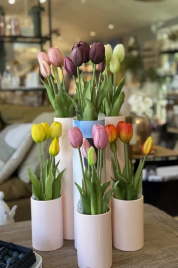 ensemble tulip3